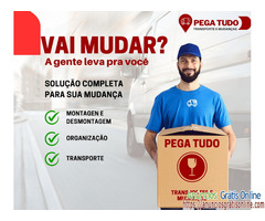 Transportes Mudanças Pega Tudo